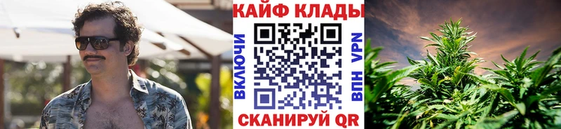 МЕФ Мостовской