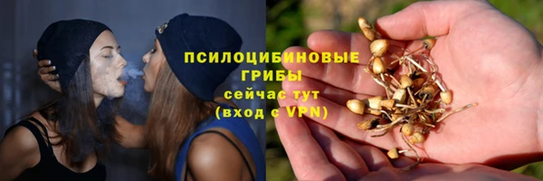 spice Липки