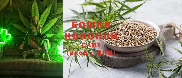 spice Липки