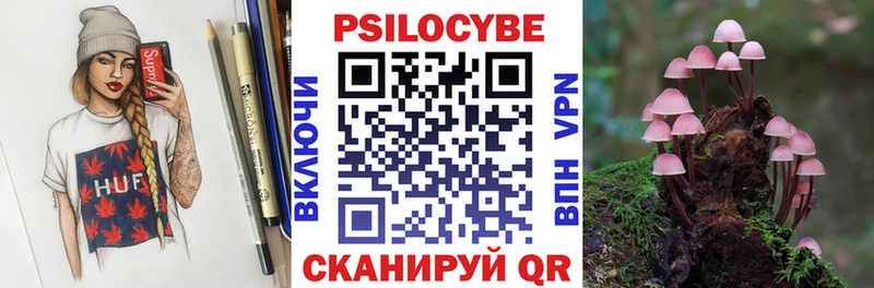 Псилоцибиновые грибы Psilocybe  Мостовской 
